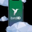 Bird ID